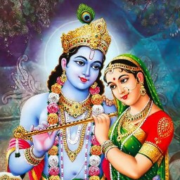 Matka Guesser profilepic